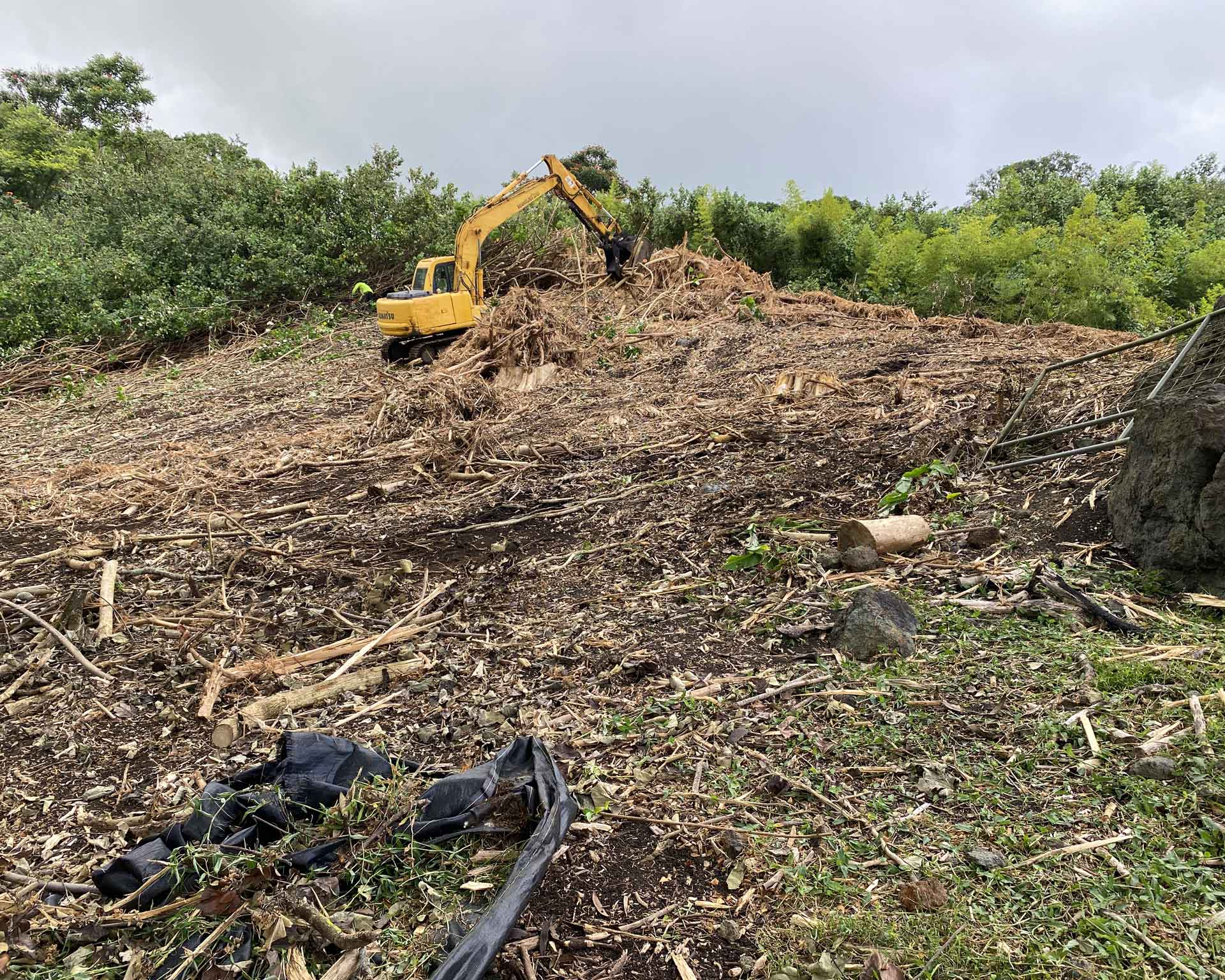 Koali-Niu-clearing-the-hill-for-planting