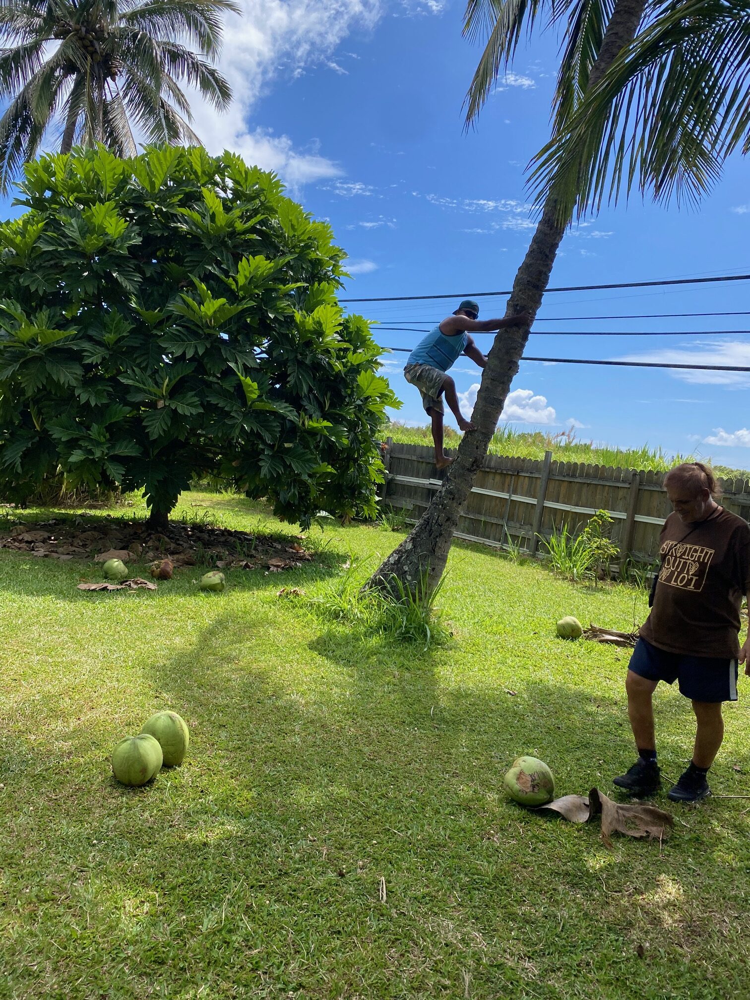 Indrajit and Dr. Roland with coconuts Jit is throwing down from tree Jits-baskets-over-dinner