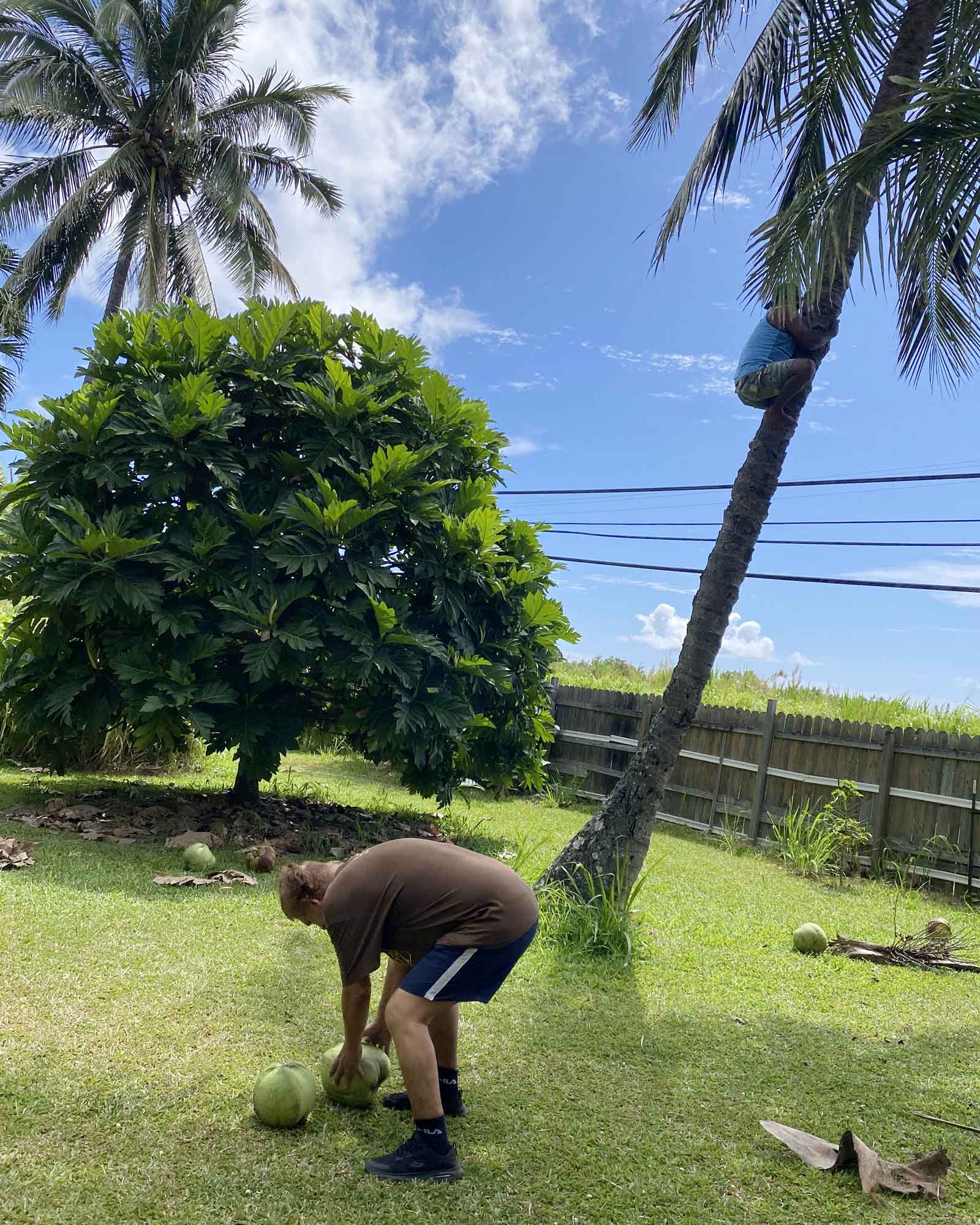 Koali-Niu-Jit-climbing-niu-Dr.-Roland-picking-up-seeds