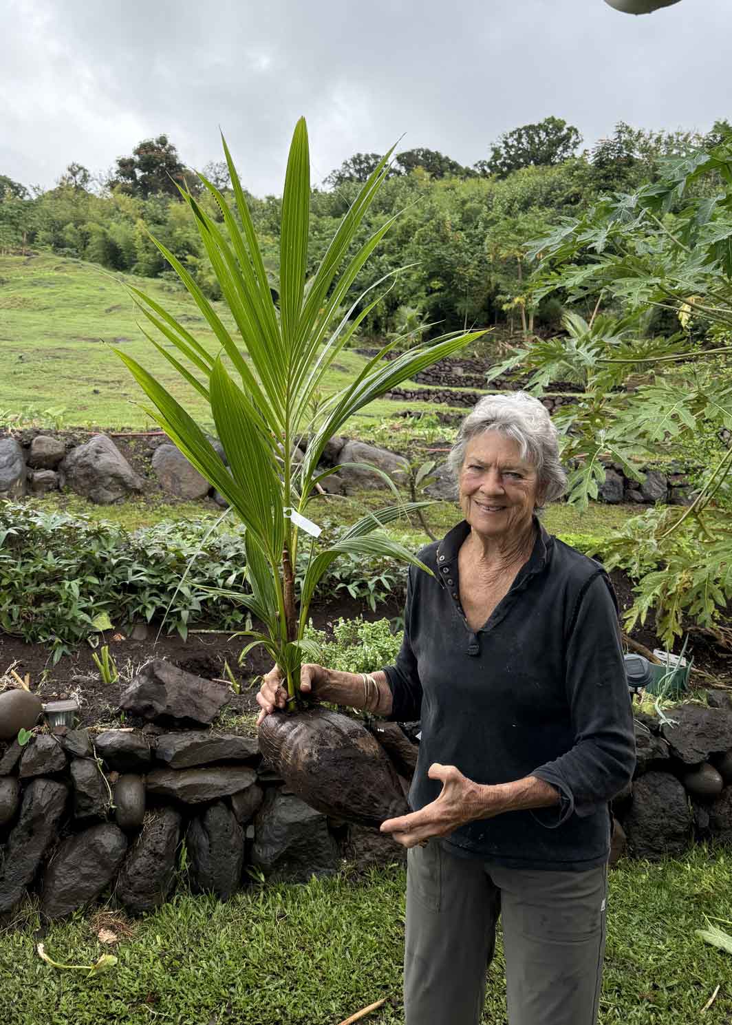 Vicky Durand - Author of Wave Woman Founder of Koali Niu holding palm tree seedling