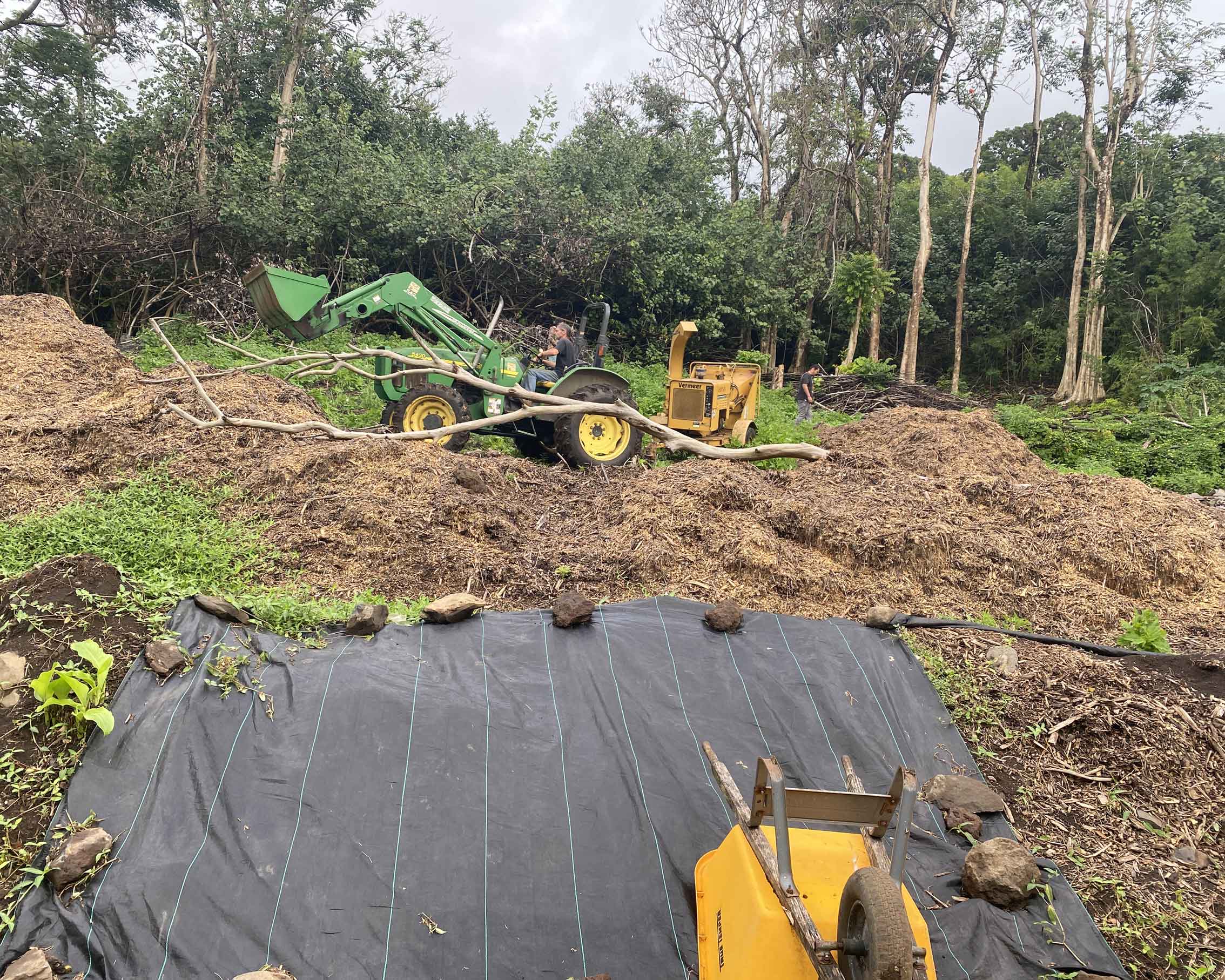 clearing-and-mulching-hill-for-planting clearing-and-mulching-hill-for-planting