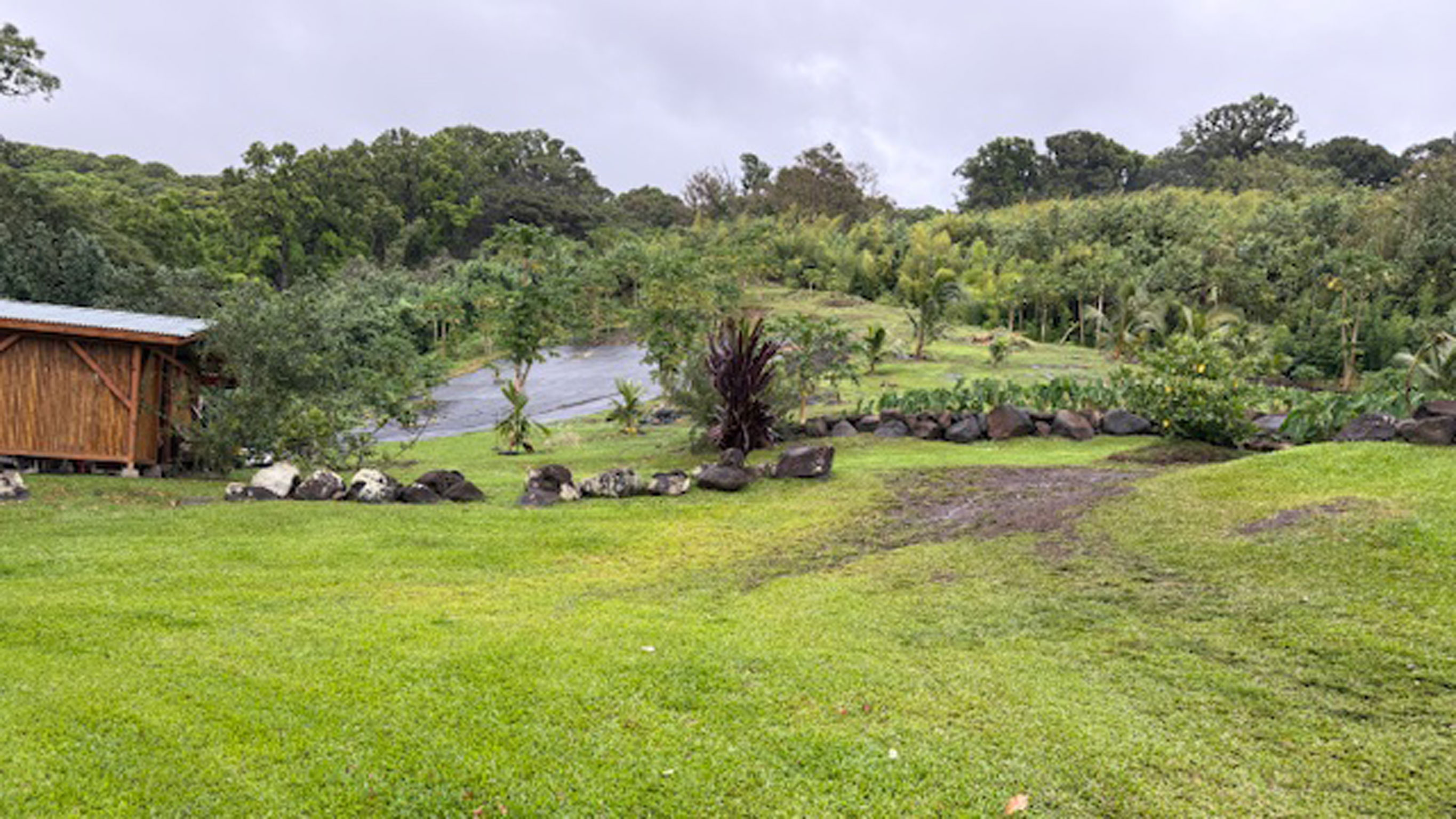 Koali-Niu-after-the-land-clearing